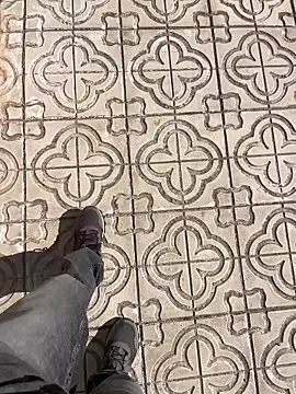 stallone italiano 62 online show from 03/25/26, 09:41