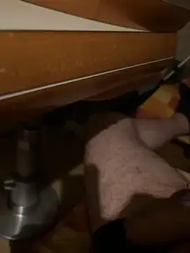 stallone italiano 62 online show from 06/27/26, 10:49
