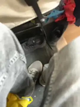 stallone italiano 62 online show from 03/21/26, 02:54