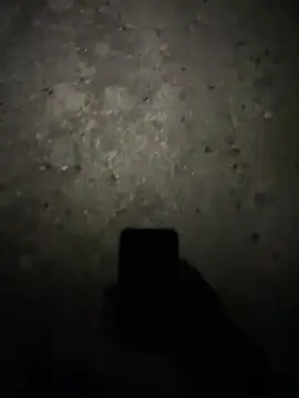 Snapshot of stallone_italiano_62 chatting on 02/17/26, 11:24 stallone italiano 62 online show from 02/17/26, 11:24