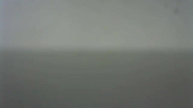 Thommas8a online show from 02/22/26, 03:53