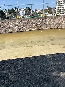 dundar0765 online show from 03/13/26, 09:36