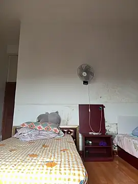 Chery mup online show from 03/08/26, 02:04