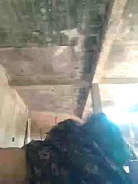 Loomaraj online show from 04/12/26, 07:33