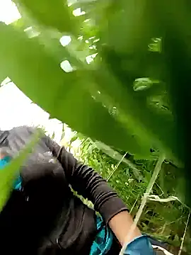 Abigail office online show from 02/13/26, 06:30