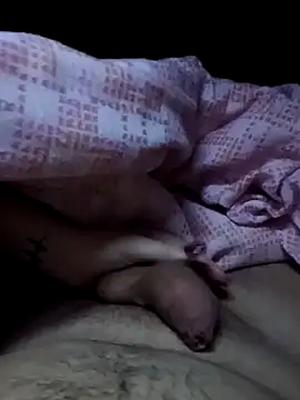 Porcellini2269 online show from 02/11/26, 10:20