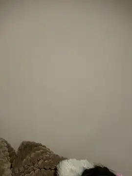 justinahallo online show from 03/07/26, 04:30