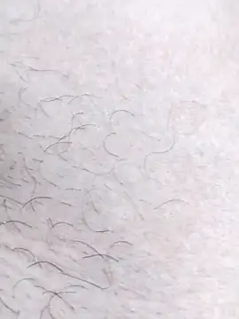 Bangladeshi big online show from 04/17/26, 06:22