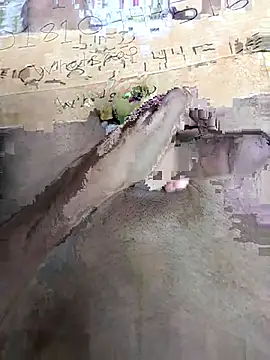 Bangladeshi big online show from 04/03/26, 10:00