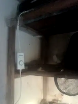 hydra0613 online show from 02/22/26, 10:44