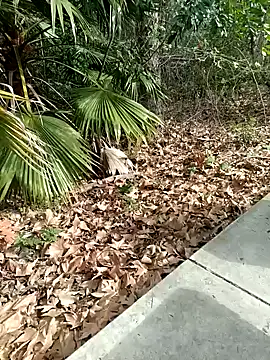 exhibitionistmale online show from 02/09/26, 06:28