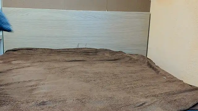 PinkyTwerkyX online show from 09/09/25, 11:52