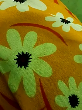 Snapshot of Ranjet01 chatting on 02/13/26, 01:33 Ranjet01 online show from 02/13/26, 01:33