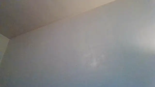 Tallhungandcloudy online show from 02/19/26, 08:28