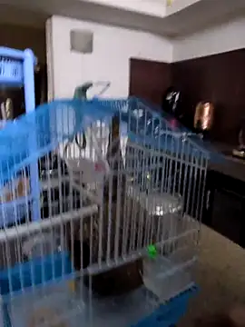 Snapshot of sexysilmy chatting on 02/25/26, 08:36 sexysilmy online show from 02/25/26, 08:36