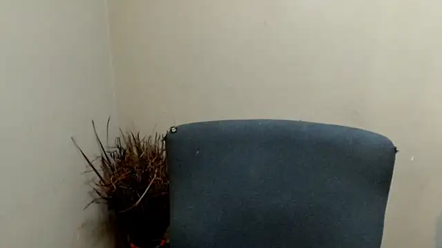 BigBunSquirt online show from 05/16/26, 11:53