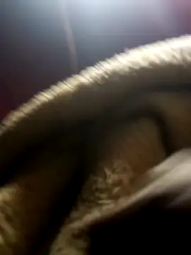 jodezww online show from 03/01/26, 08:47