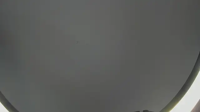 Snapshot of SinLickerr chatting on 02/18/26, 07:43 SinLickerr online show from 02/18/26, 07:43