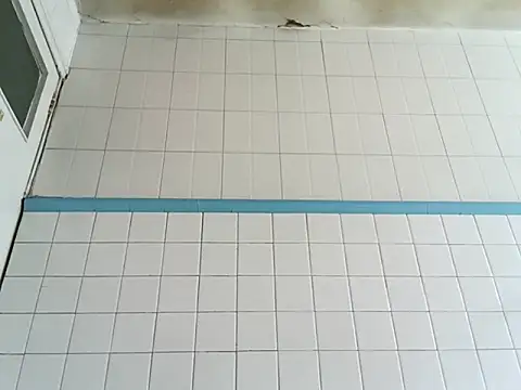 Lord Govinda online show from 04/14/26, 03:17