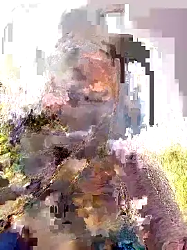 Pallavi hote online show from 02/22/26, 06:05