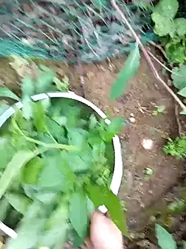 Girl-crazy1 online show from 03/09/26, 09:35