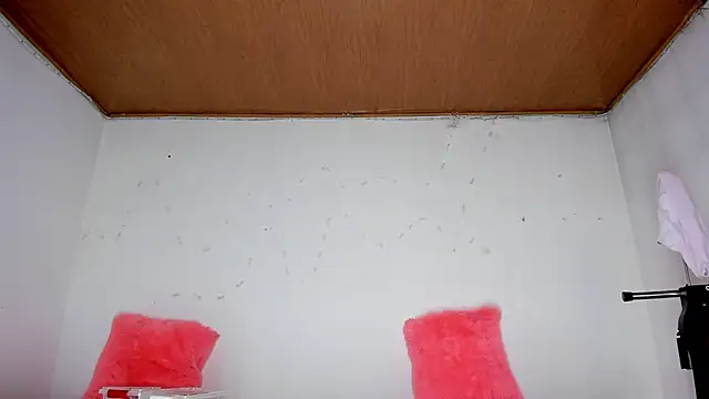 Snapshot of karol_kane chatting on 02/13/26, 03:23 karol kane online show from 02/13/26, 03:23