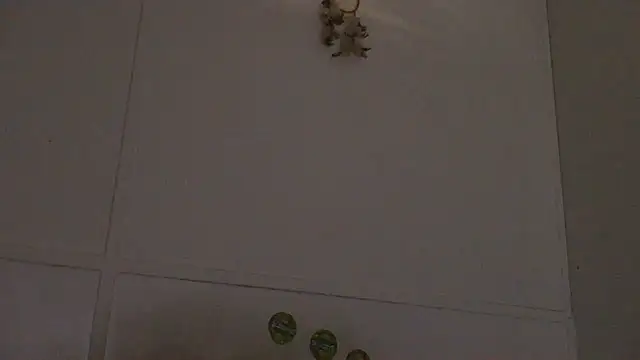 Snapshot of pbilip7787 chatting on 02/28/26, 09:58 pbilip7787 online show from 02/28/26, 09:58