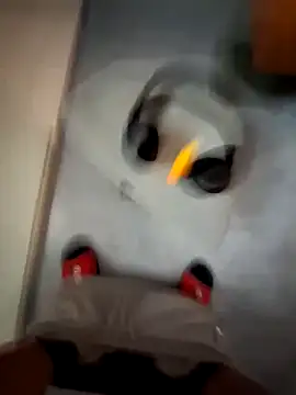 Snapshot of cetriolino chatting on 03/12/26, 06:17 cetriolino online show from 03/12/26, 06:17