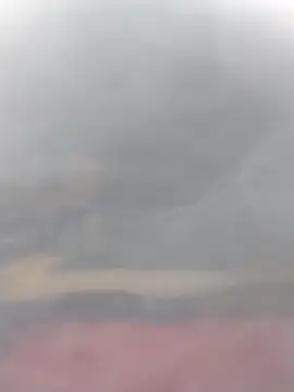 cobrosdepagos online show from 03/14/26, 03:07