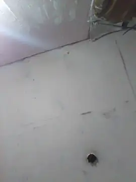 cobrosdepagos online show from 04/11/26, 04:20