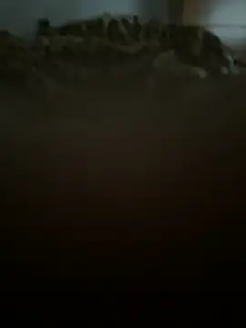 jacobbb5 online show from 04/19/26, 11:22