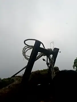 nelina 12345 online show from 04/16/26, 11:22