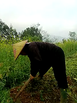 nelina 12345 online show from 03/26/26, 01:48