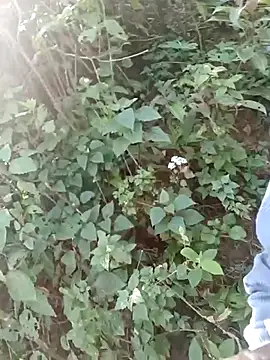 nelina 12345 online show from 04/08/26, 02:35