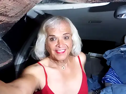 dustbunny64 online show from 04/07/26, 05:31