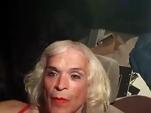 dustbunny64 online show from 03/21/26, 10:09