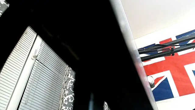 John Meow online show from 02/12/26, 09:36