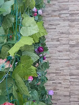 Roma xxx online show from 02/14/26, 10:21