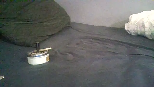 BonneQueueBonjour online show from 02/22/26, 11:45