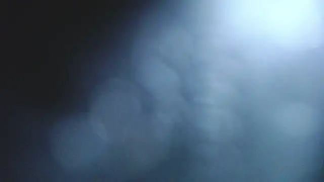 Stannly1 online show from 03/11/26, 09:36