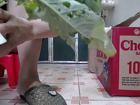 Snapshot of Maila88 chatting on 02/18/26, 12:52 Maila88 online show from 02/18/26, 12:52