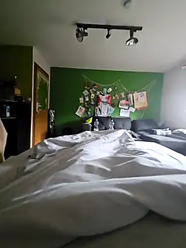 Gris-shadow online show from 02/17/26, 11:18