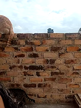 kiki milu online show from 03/17/26, 01:47