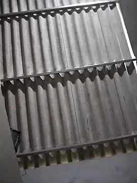 Baby flower 1 online show from 02/16/26, 08:24