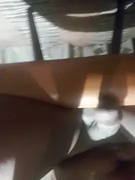 Cookiesucker2025 online show from 03/15/26, 11:56