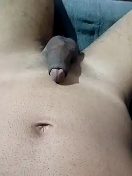 an0203 online show from 04/18/26, 02:47