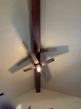 Snapshot of Link_and_Saria chatting on 03/01/26, 12:27 Link and Saria online show from 03/01/26, 12:27