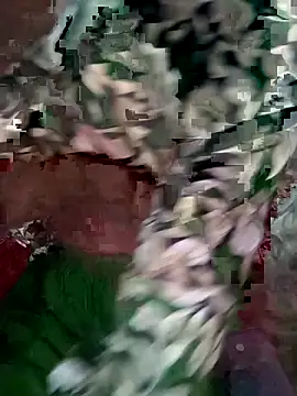 mimpake online show from 04/10/26, 08:21