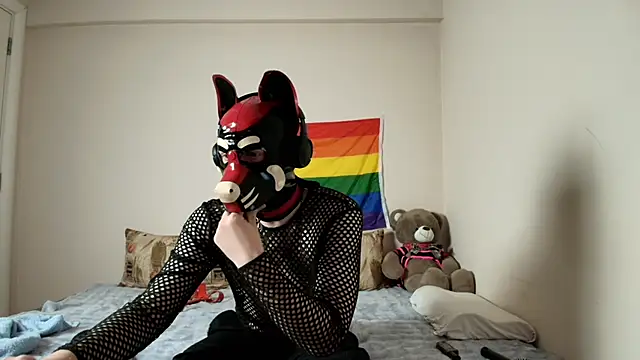 K9 GoodBoy online show from 04/09/26, 05:52