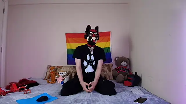 K9 GoodBoy online show from 04/15/26, 05:17